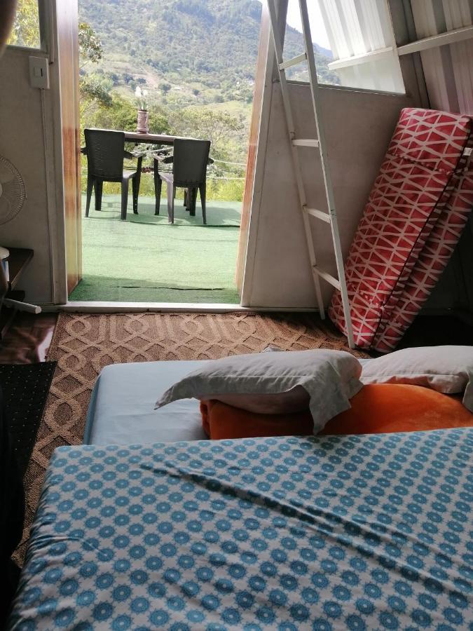 Glamping Bambulina Cali