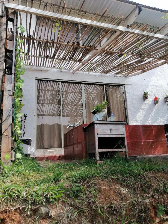Campsite Glamping Bambulina Cali